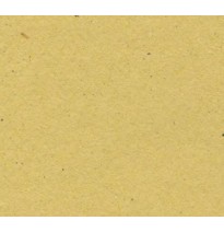 CARTONCILLO ESCOLAR 50X70 CANARIO C.250