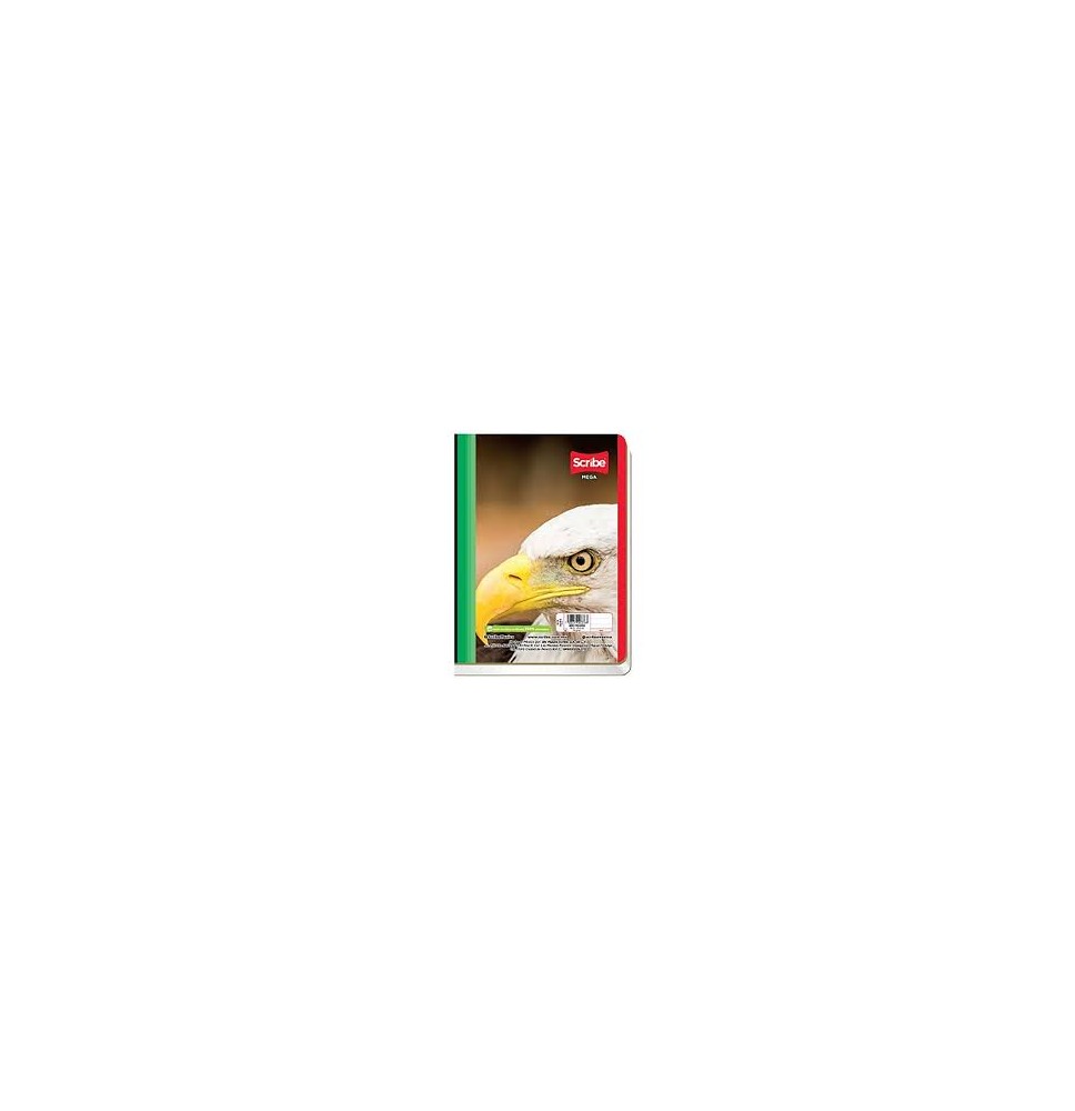 BLOCK NOTAS MEGA SCRIBE 4620 RAYA PEG. 100H. C.96