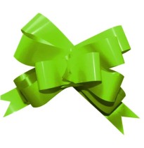 MOÑO CELOMAG. GIG. VERDE LIMON JANEL CAJA C50 C.12