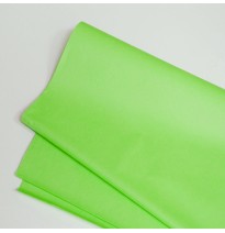 PAPEL CHINA 50X75 CM. VERDE FLOUR. E.100 C.1000