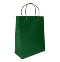 BOLSA BOND MEDIANA VERDE BANDERA VM E.12