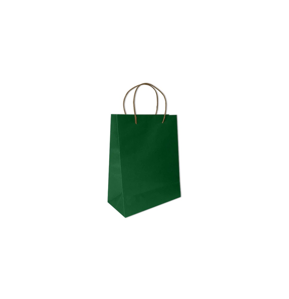BOLSA BOND MEDIANA VERDE BANDERA VM E.12