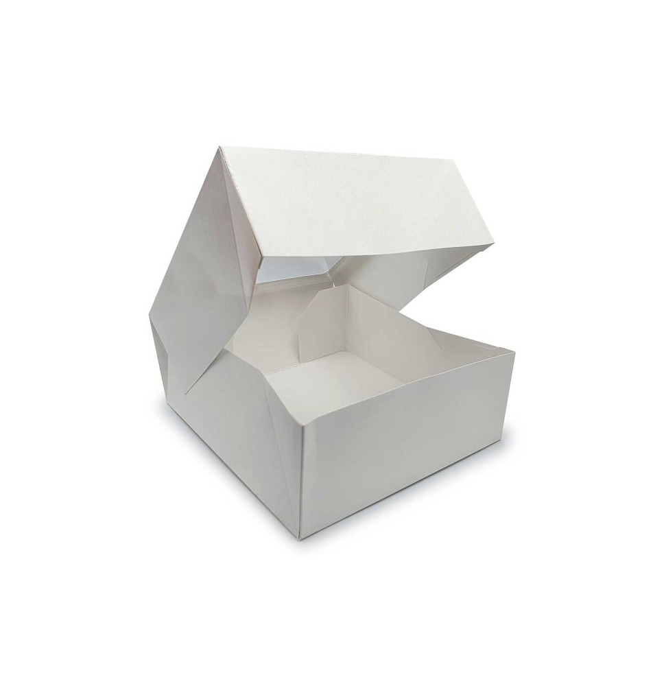 CAJA CUBO DAMA PASTEL 22X22 VM E.10