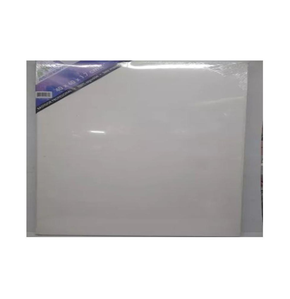 BASTIDOR PROF. 40X60X1.7CM. MECANORMAPINTO C.20