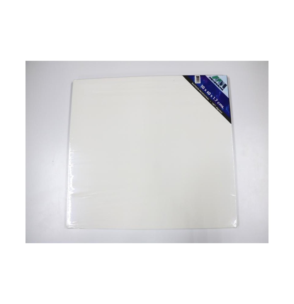 BASTIDOR PROF. 50X60X1.7CM. MECANORMA C.20