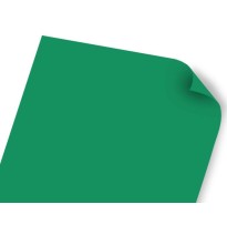 CARTULINA REFLECT IRIS 2C 50X65CM 180G VDE BAND E10100
