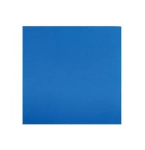 FOAMY CTA. AZUL REY E.24 C.408