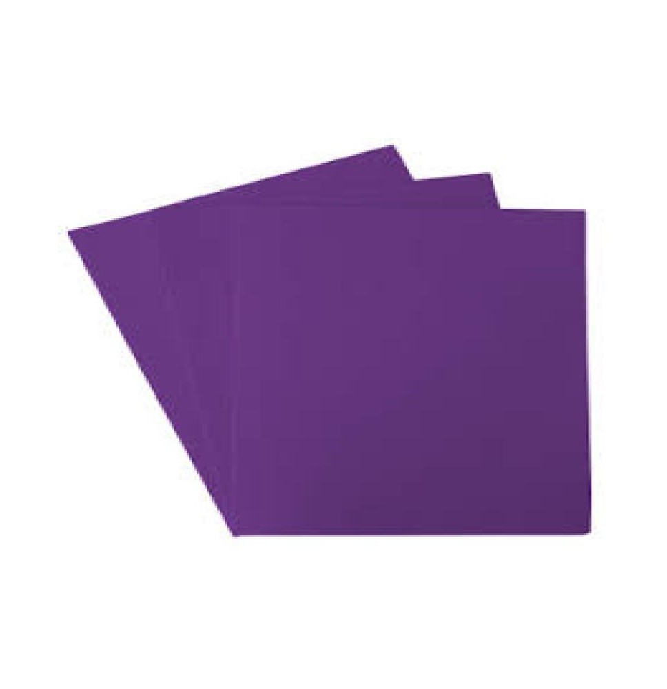 FOAMY CTA. MORADO E.24 C.408