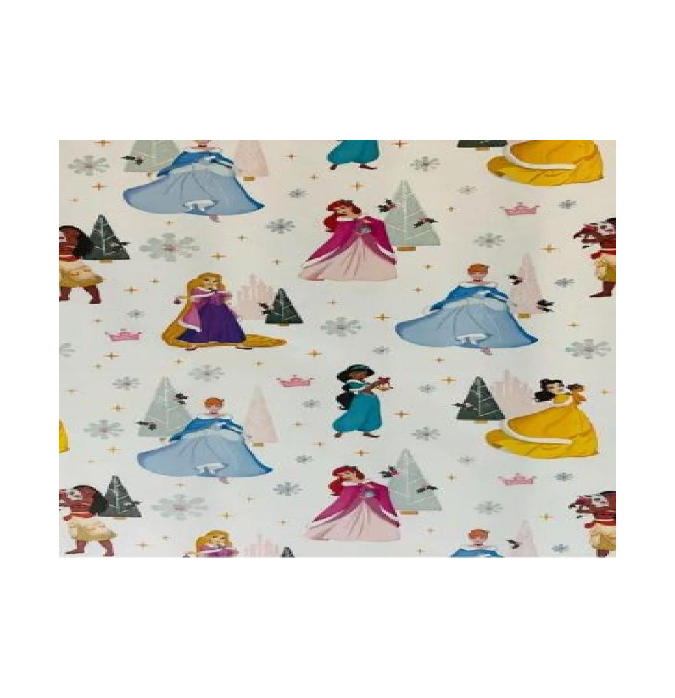 PAPEL COUCHE PRINCESAS NAV. DIPAK 50X70 CM. E.25 C.500
