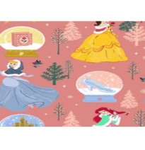 PAPEL COUCHE PRINCESAS NAV. DIPAK 50X70 CM. E.25 C.500