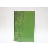 PAPEL STARDREAM CTA. 120G. 2C. VERDE MANZ PAQ.C100H.