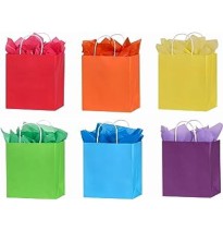 BOLSA MED. SLIC. GOSTECH 28X10.5X21.5 CM E.10