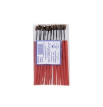 PINCEL PLASTICO SEMIPROFESIONAL 5 TAMAYO ROJOE25C1500