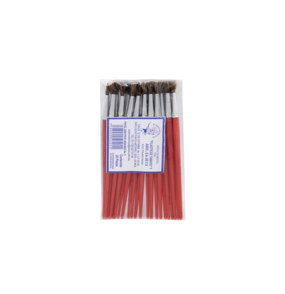 PINCEL PLASTICO SEMIPROFESIONAL 5 TAMAYO ROJOE25C1500