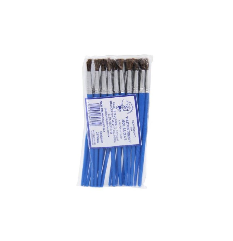 PINCEL PLASTICO SEMIPROFESIONAL 6 TAMAYO AZULE25C1500