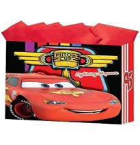 BOLSA MED. CARS DIPAK E.10