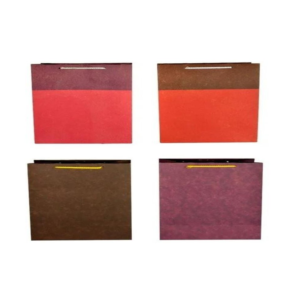 BOLSA KRAFT CH. COLOR DIPAK E.10 C.100