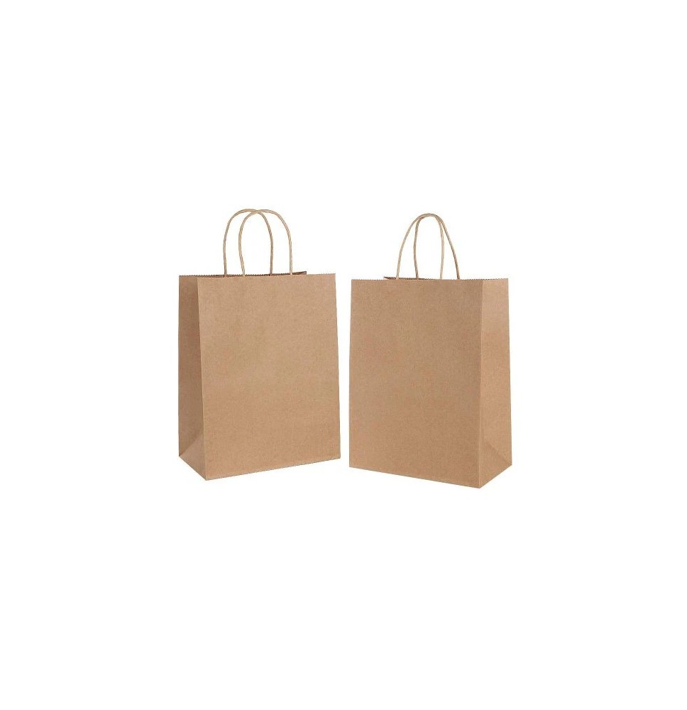 BOLSA KRAFT GDE. COLOR DIPAK E.10 C.100