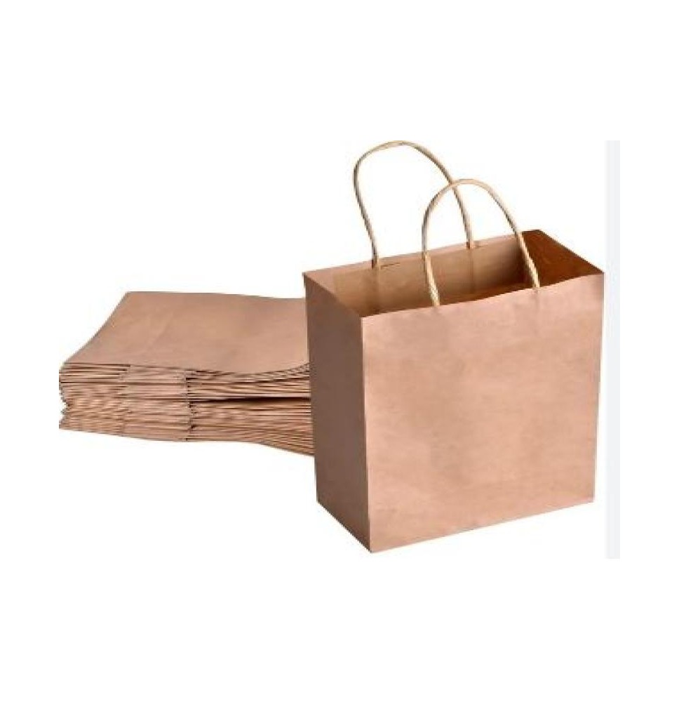 BOLSA KRAFT MED. COLOR DIPAK E.10 C.100