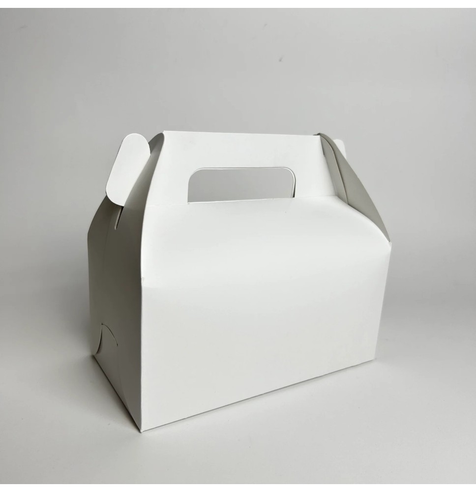 CAJA LONCHERA BLANCA GOSTECH 19X11X8.5CM. E.10