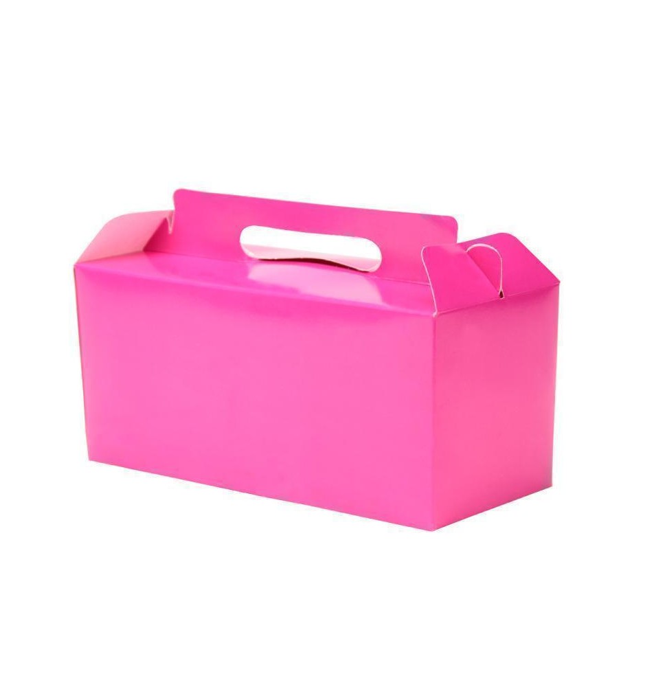 CAJA LONCHERA FIUSHA GOSTECH 19X11X8.5 CM. E.10