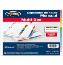 SEPARADOR MENSUAL CTA. MULTIDEX WILSON P-0449 C.24