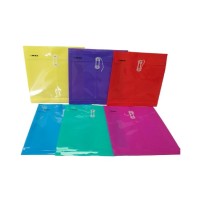 SOBRE PLAST. CHILO OFI. HOR. MAE SHFH VCOLOR 1260360