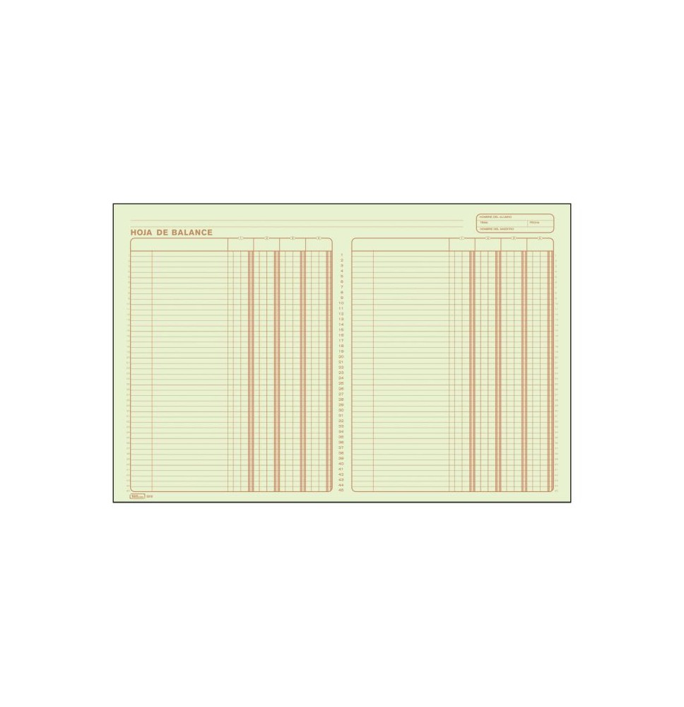 HOJA DE BALANCE 5010 PRINTAFORM DOBLE CTA. 50H. E.3 C24