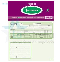 PAGARE 8600 SEGURIDAD 100H. C.100