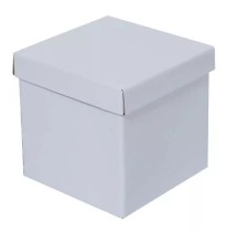 CAJA BLANCA CUBO 10 10X10X10 PADI JGO E.12