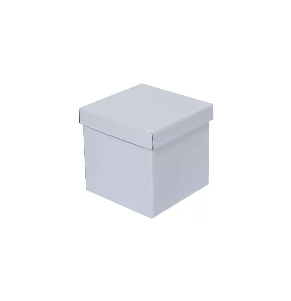 CAJA BLANCA CUBO 10 10X10X10 PADI JGO E.12