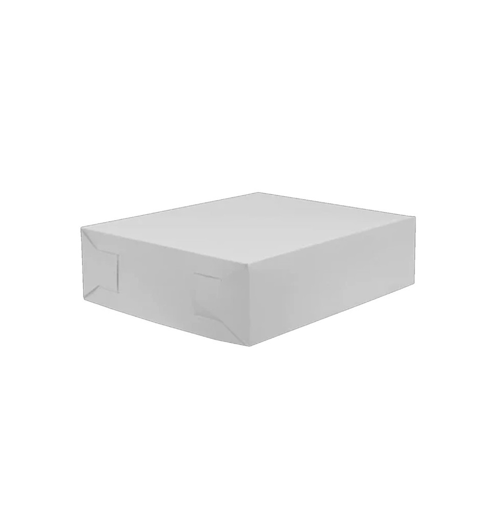 CAJA BLANCA PADI 10 26X23X7CM. JGO E10