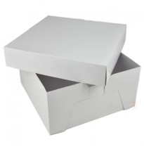 CAJA BLANCA PADI 30 42.5X29X6.5CM. JGOE10