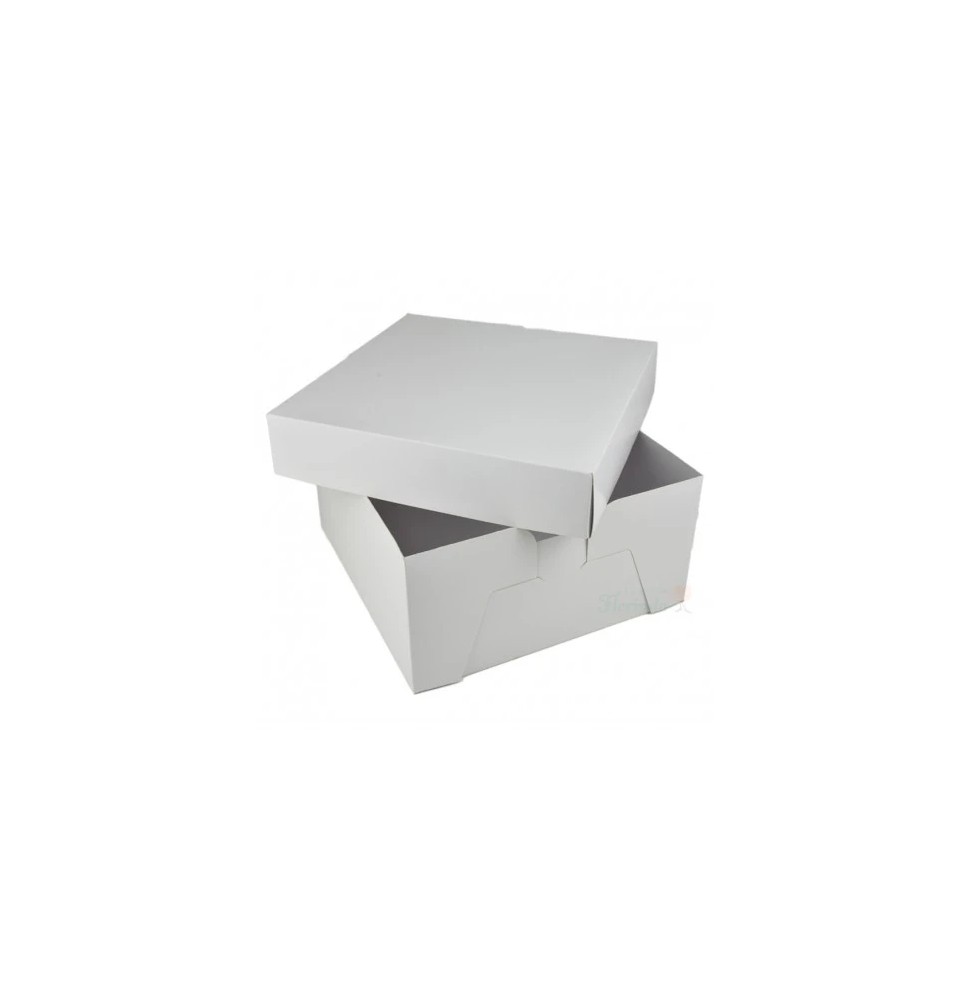 CAJA BLANCA PADI 30 42.5X29X6.5CM. JGOE10