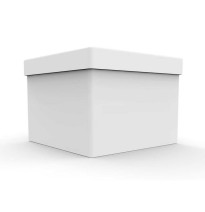 CAJA BLANCA CUBO PADI 30 30X30X30 CM. JGO E12