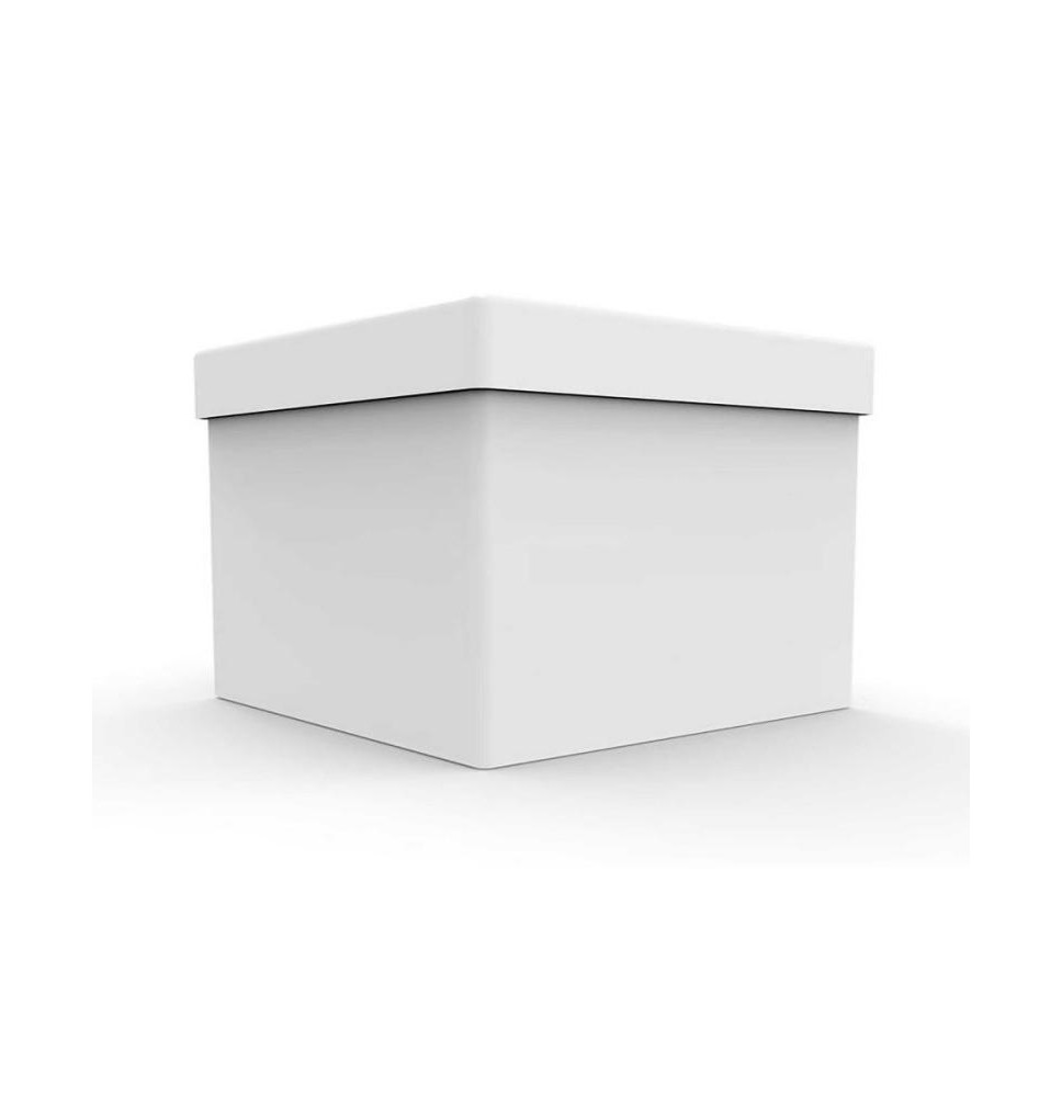 CAJA BLANCA CUBO PADI 30 30X30X30 CM. JGO E12