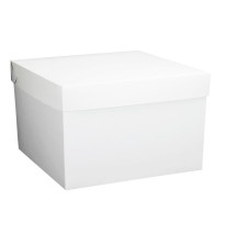 CAJA CUBO KRAFT BCA. 38X30X38CM 1 GOSTECH E10