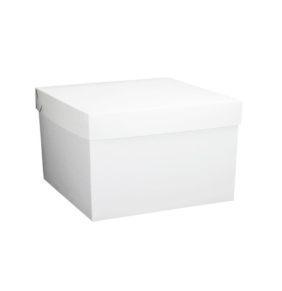 CAJA CUBO KRAFT BCA. 38X30X38CM 1 GOSTECH E10