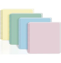 CUADERNO PROF. ARCOIRIS PASTEL P.D PRINTA RAY ESP.200H. C.6