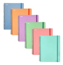 CUADERNO PROF. ARCOIRIS PASTEL P.D PRINTA RAY ESP.100H. C.12