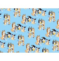 PAPEL COUCHE BLUEY GRANMARK 70X50 VMOD.E.25
