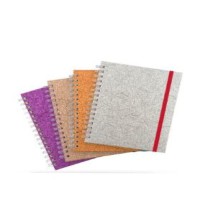 CUADERNO BOOK METALICO PRINTAFORM RAYA ESP.100H C.12