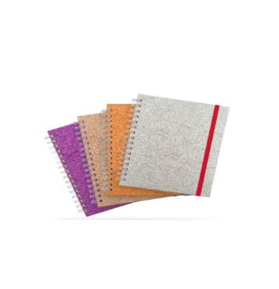CUADERNO BOOK METALICO PRINTAFORM RAYA ESP.100H C.12