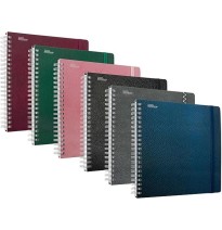 CUADERNO PROF. EJECUTIVO PRINTAFORM. P.D.RAYA 100H. C.12