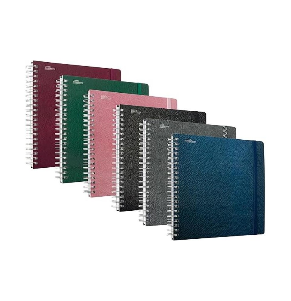 CUADERNO PROF. EJECUTIVO PRINTAFORM. P.D.RAYA 100H. C.12