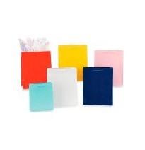 BOLSA CH. ITALIANA COL. LISOS GOSTECH 12.7X8.5X21.6 E.10