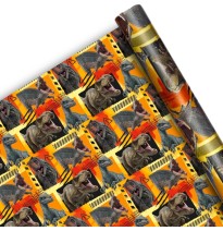 PAPEL COUCHE JURASSIC GRANMARK 50X70 CM. E.25