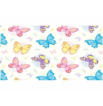 PAPEL COUCHE DAMA DIPAK 50X70 CM. E.25 C.500