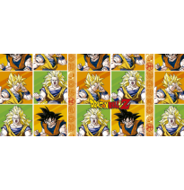 PAPEL COUCHE DRAGON BALL GRANM. 50X70 CM. E.25 C.1000