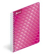 CUADERNO PROF. UNICOLOR NORMA 580815 C7 ESP. 100H. C.25